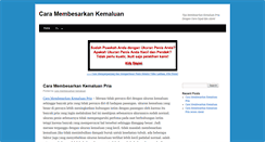 Desktop Screenshot of caramembesarkankemaluan.com