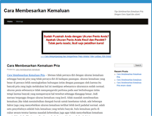 Tablet Screenshot of caramembesarkankemaluan.com
